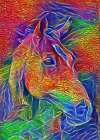 Horse Colorful