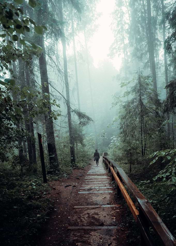 Moody strolls