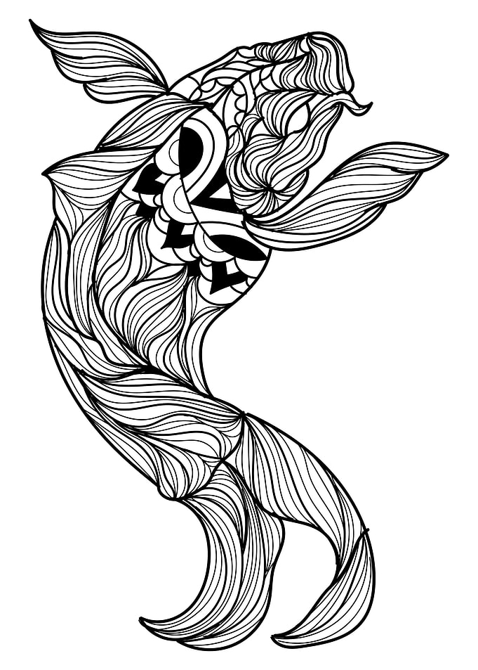 Koi