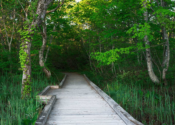 Boardwalk