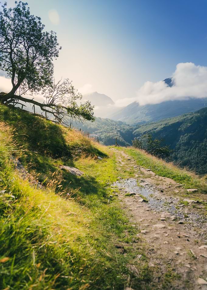 A Path Up In The Mountains