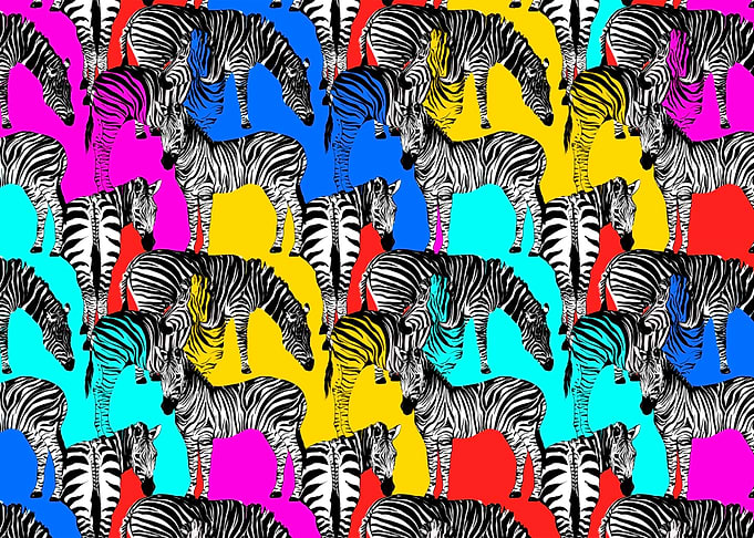 Abstract colorful zebra