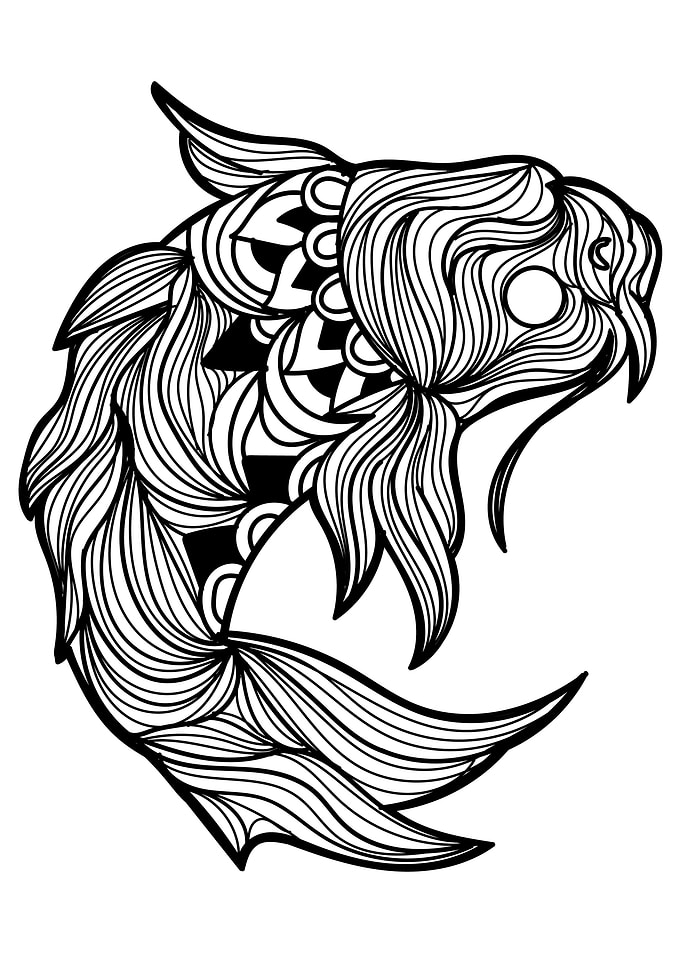 Koi