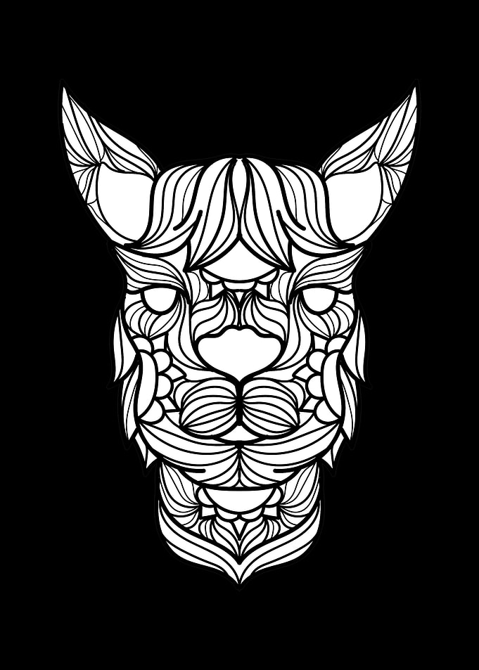 Llama