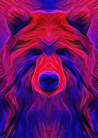Bear Fantasy
