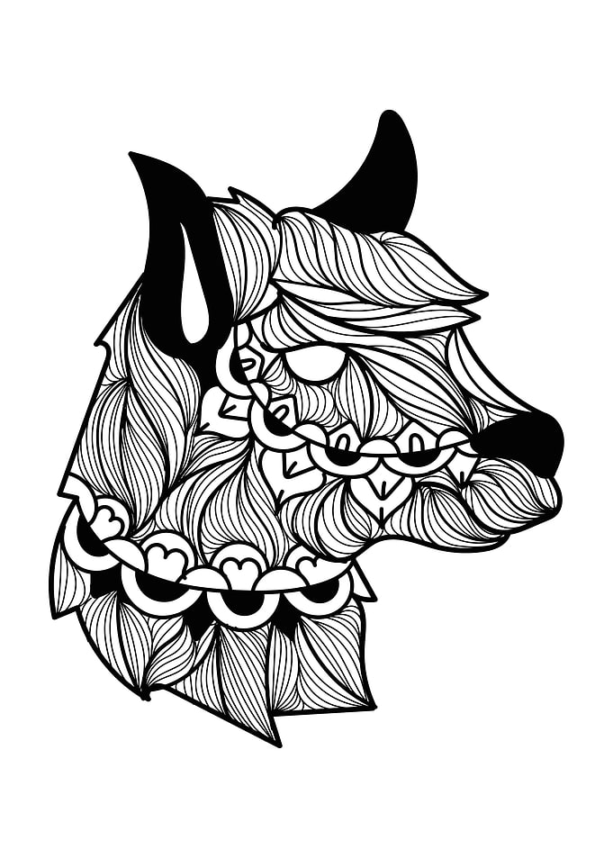 Llama