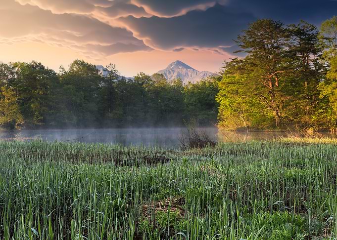 Morning light at the lake