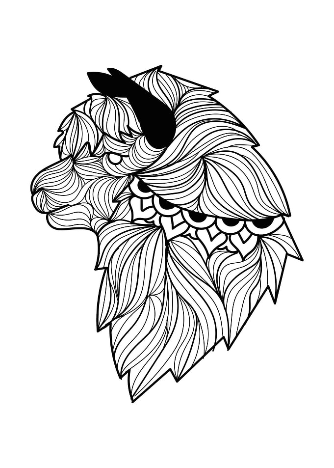 Llama