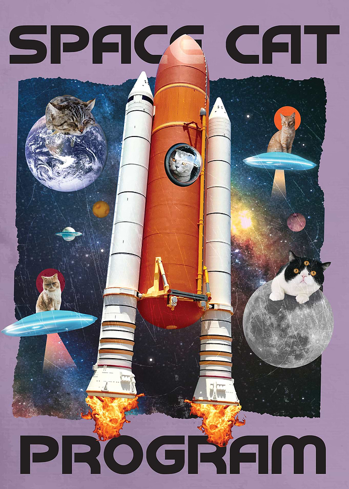 Space Cat Program