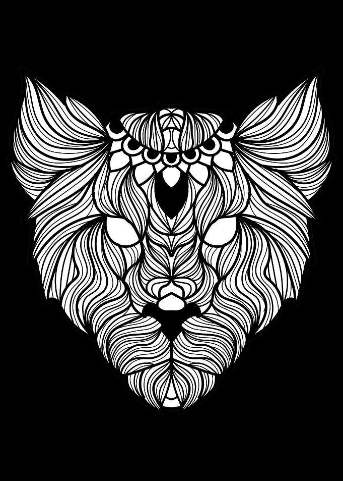 Female Lion