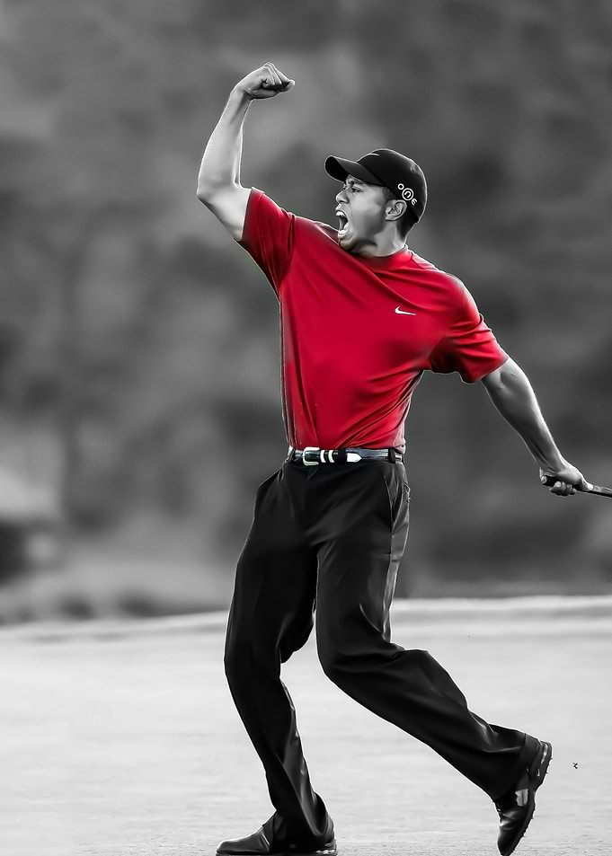 Tiger Woods