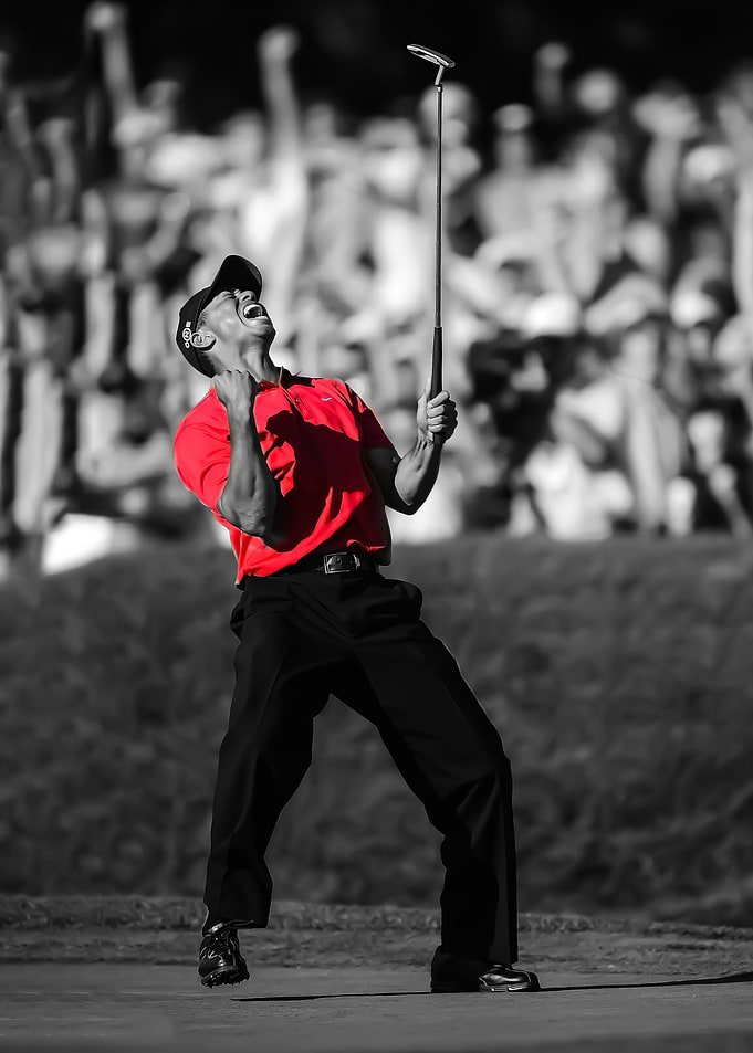 Tiger Woods