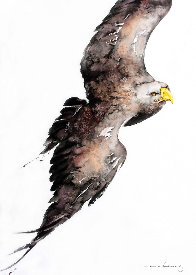Soaring Above2