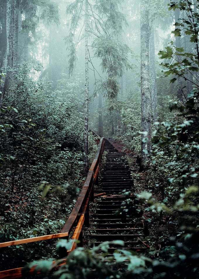 Moody pathways