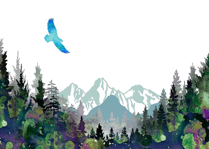 Pine forest
