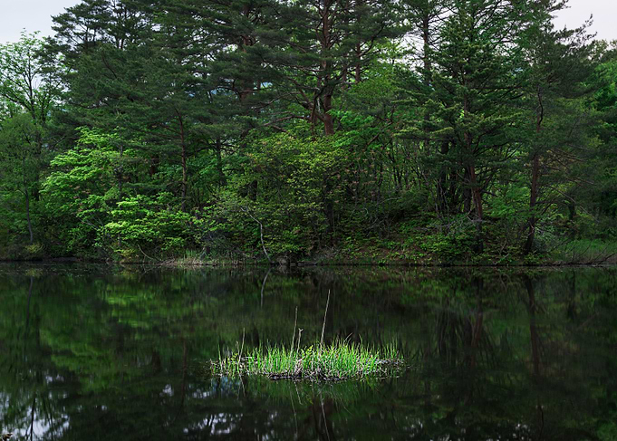 Tranquil Lake View