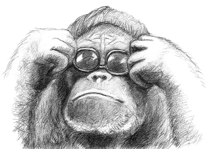 Orangutan and Sunglasses