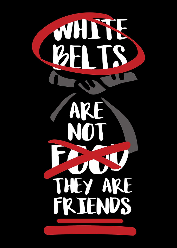Mixed Martial Arts MMA