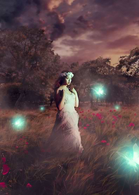 Magical Field
