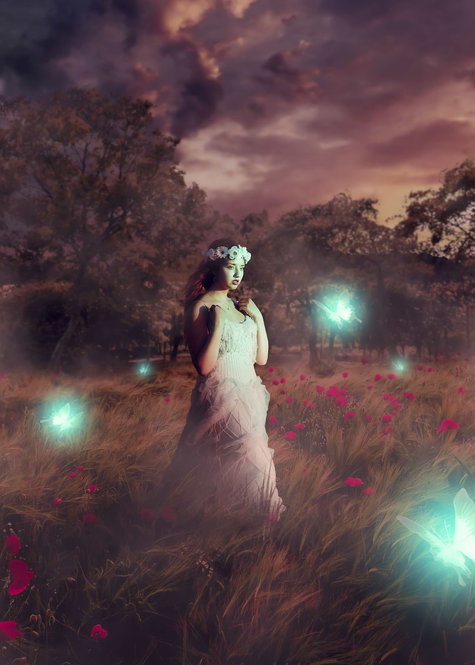 Magical Field