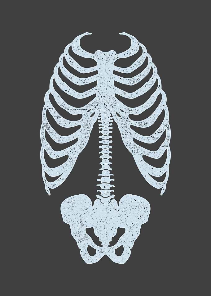 Skeleton Body Funny