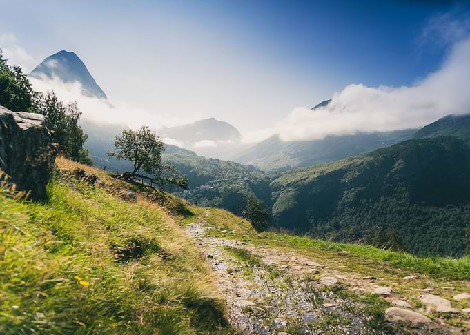 A Path Among The Mountains