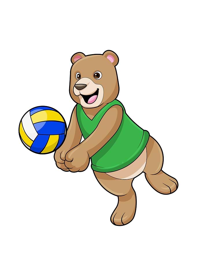 Bear Volleyball Sports