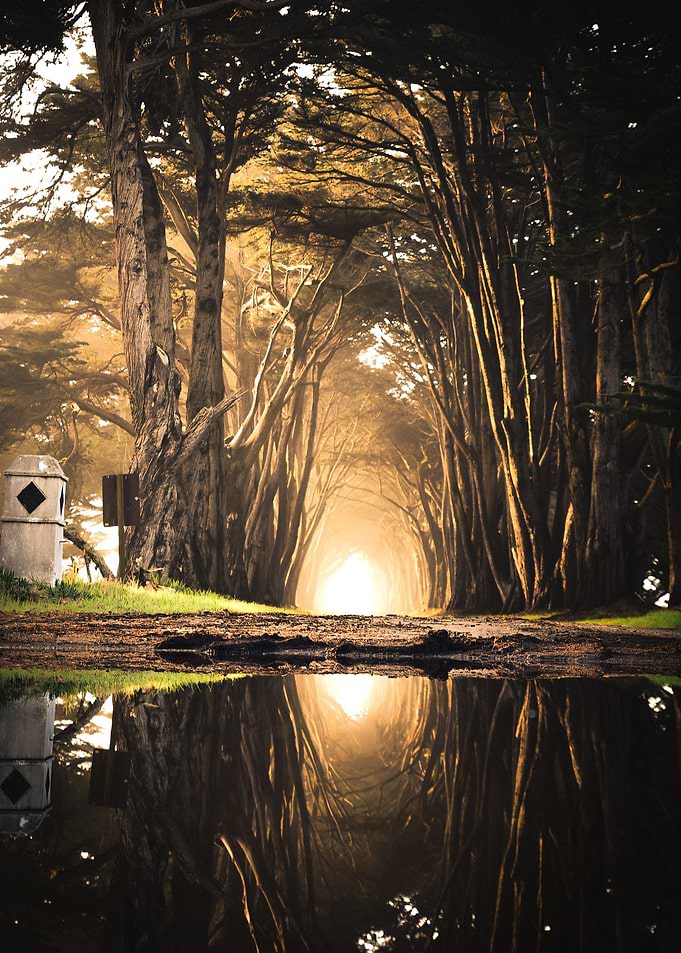 Nature
