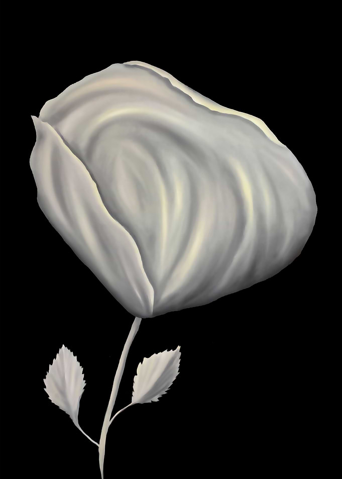 Silky rose on black metal