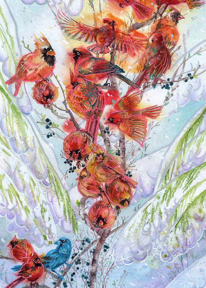 Red Cardinals on Spruce