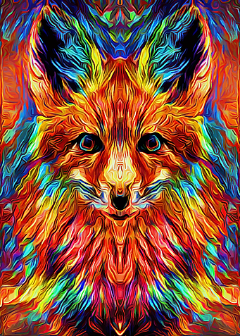 Fox Colorful
