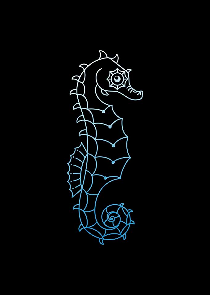 Seahorses Underwater Life