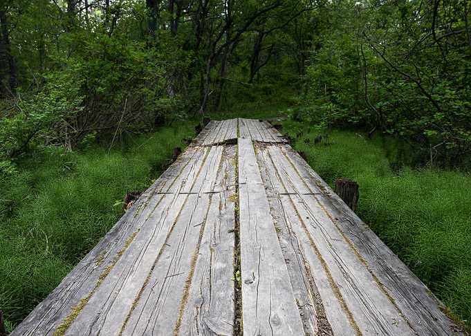 New Green Boardwalk