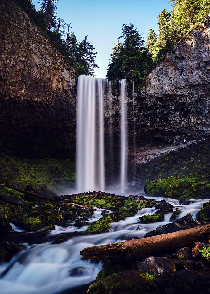 Waterfall in Forest Nature