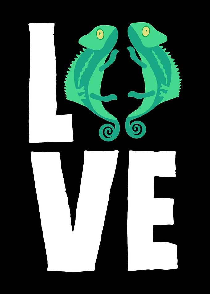 Chameleons Love Chameleon