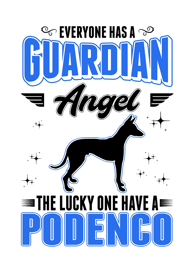 Podenco Canario Guardian