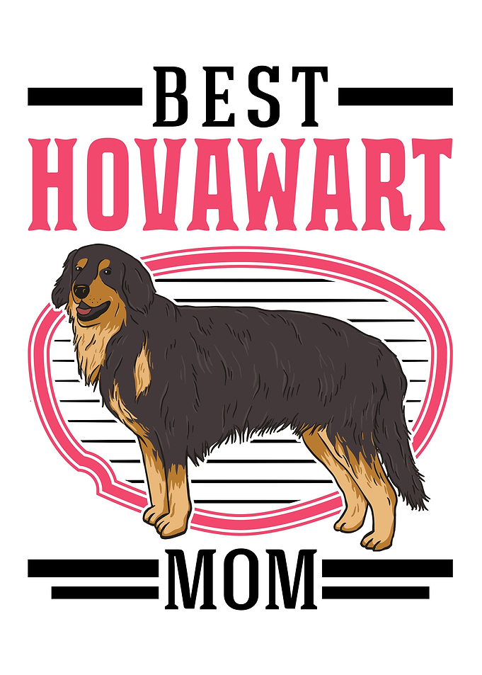 Best Hovawart Mom