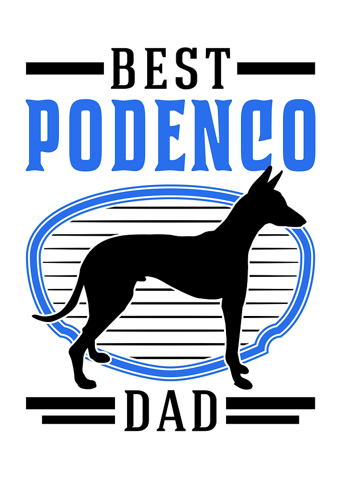 Best Podenco Dad Canario