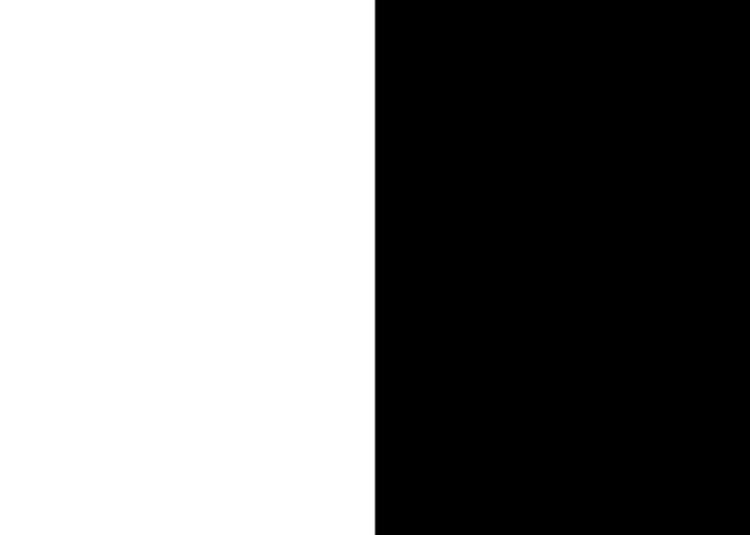 Dichotomy panel white blac