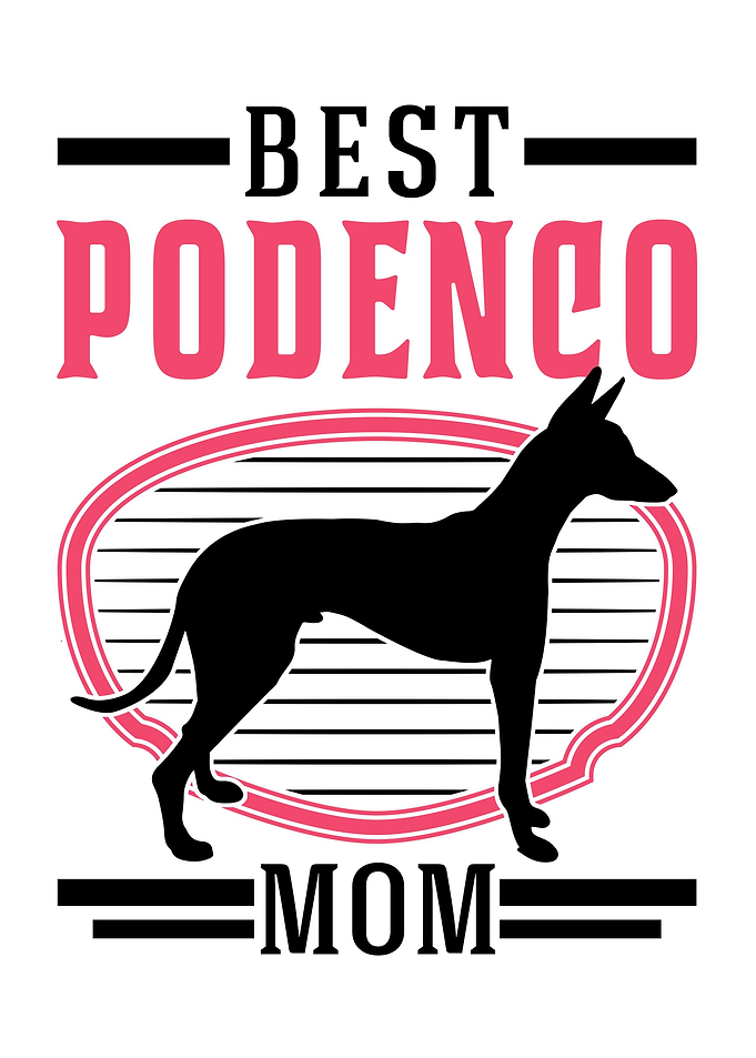 Best Podenco Mom Canario