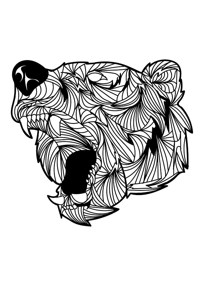Bear