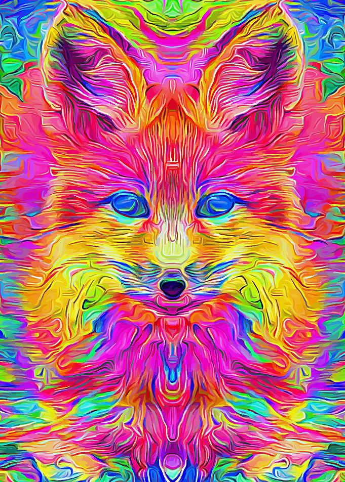 Fox Rainbow