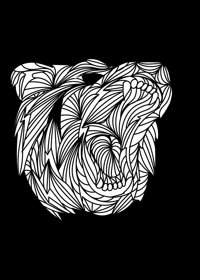 Black Bear