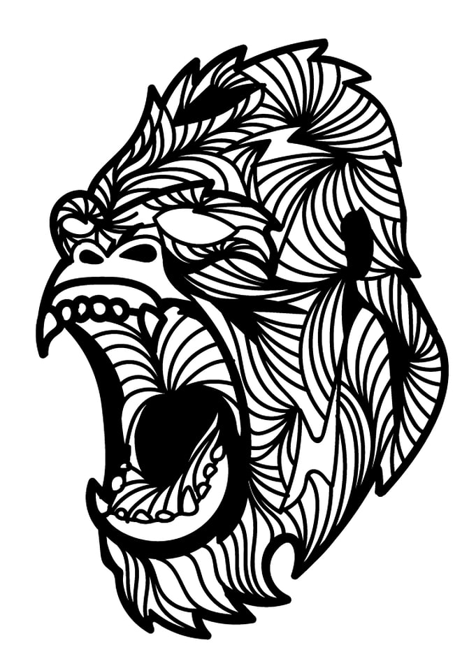 Monkey