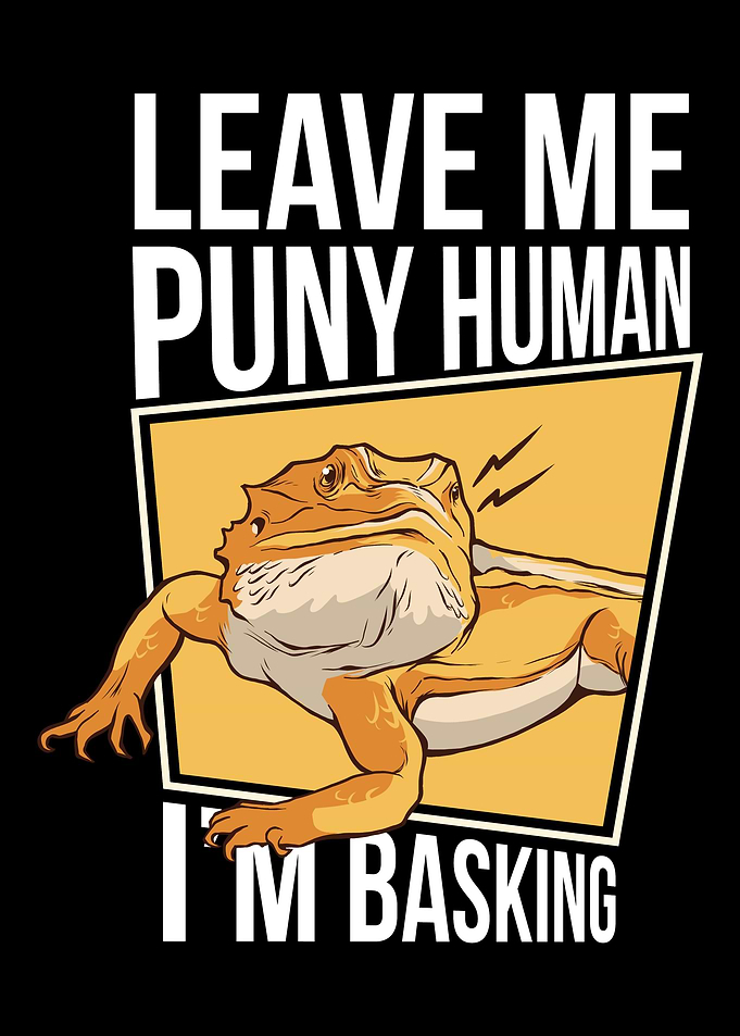 Bearded Dragon Reptile