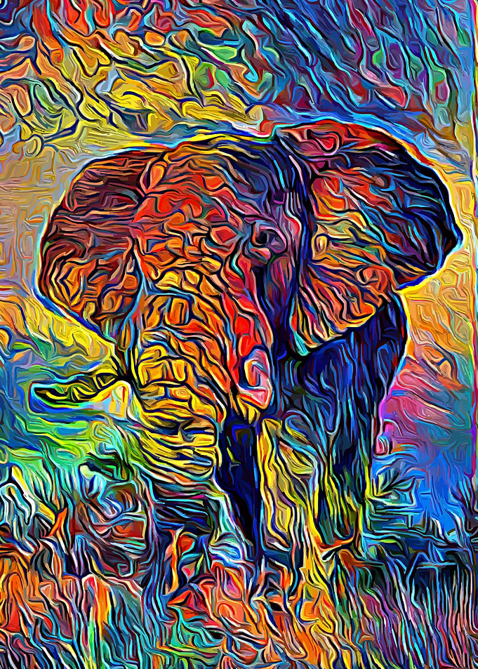 Elephant Colorful