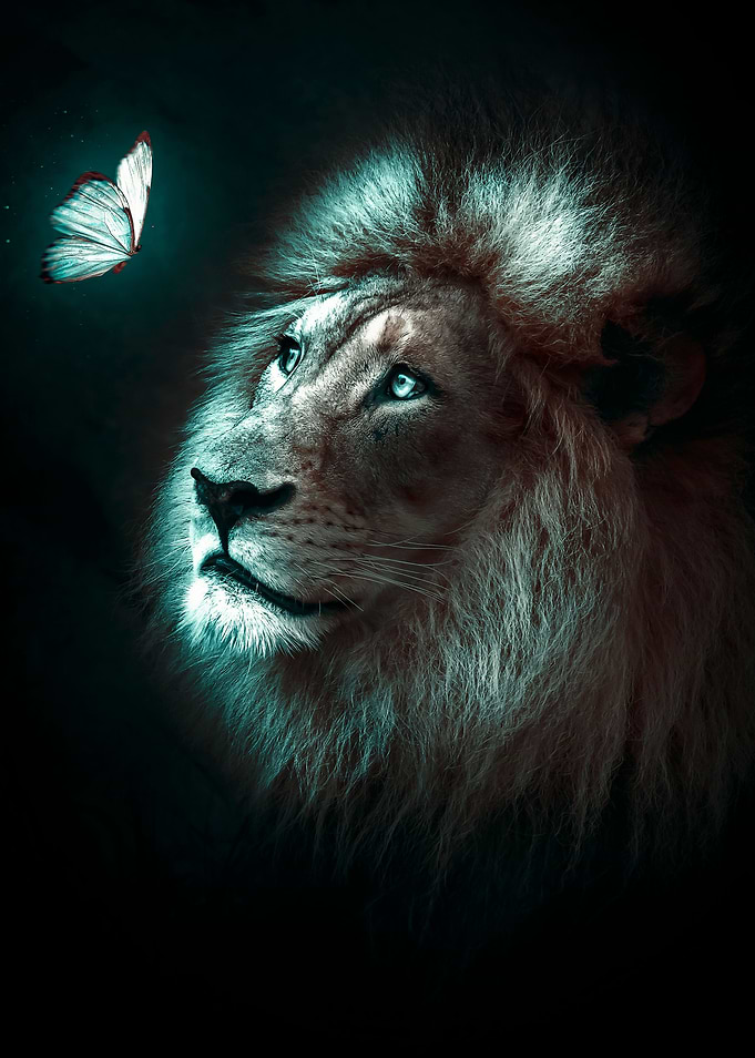 dreamy lion king poster