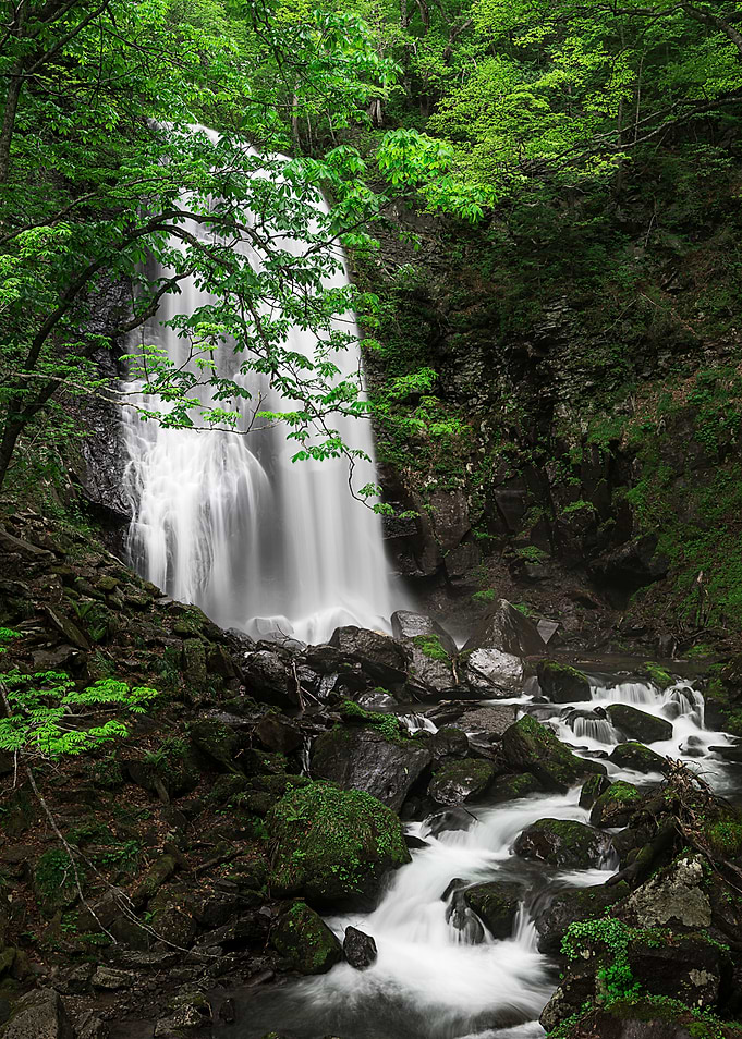 New Green Waterfall