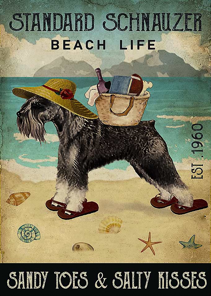 Standard Schnauzer Dog