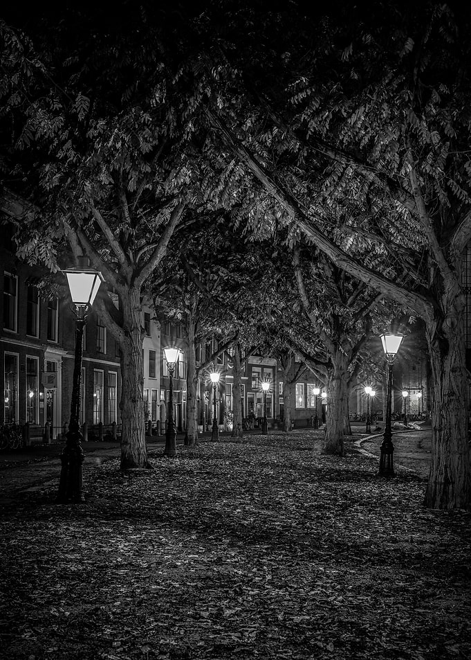 NIght Road